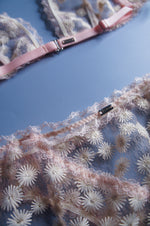 Dandelion Blush Pink Brief