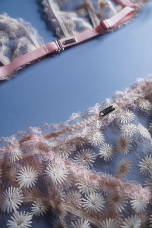 Dandelion Blush Pink Brief
