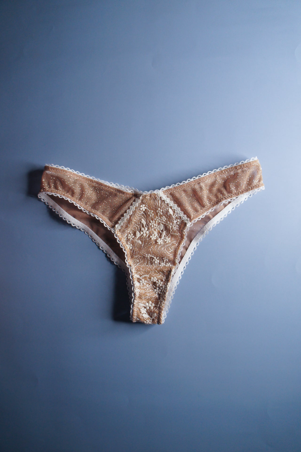 Ivory Floral Embroidery Brazilian Brief