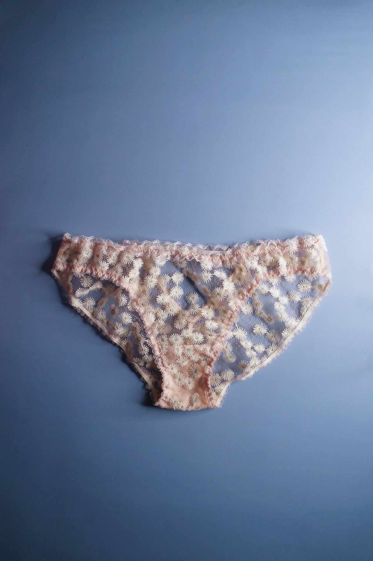 Dandelion Blush Pink Brief