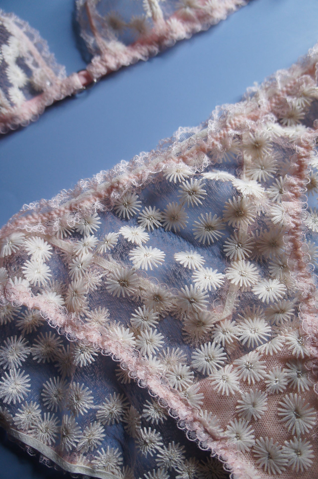 Dandelion Blush Pink Brief